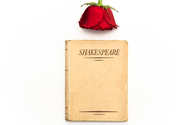 istock Old book by Shakespeare and red rose on white background 538177258