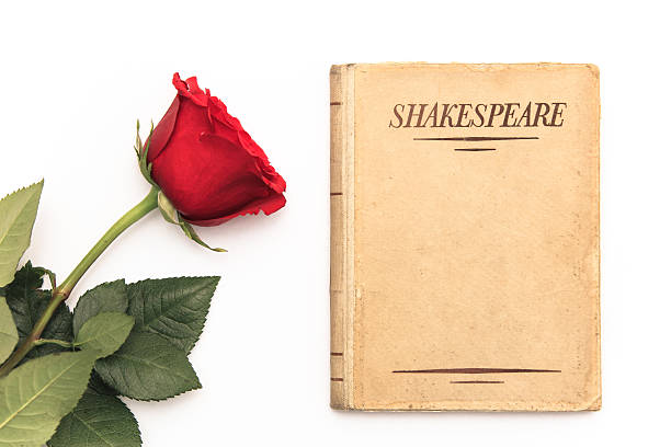 vecchio libro di shakespeare e rosa rossa su sfondo bianco - william shakespeare immagine foto e immagini stock