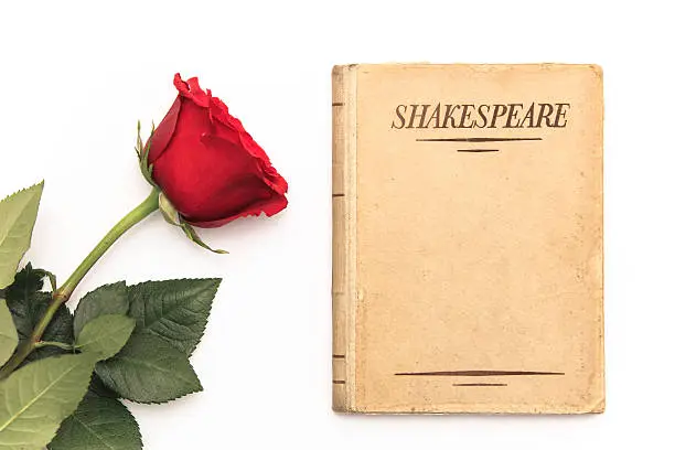 An old book by Shakespeare and a red rose sit on white background; symbol of love and romance