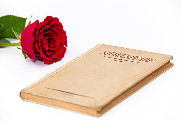 istock Old book by Shakespeare and red rose on white background 538177294