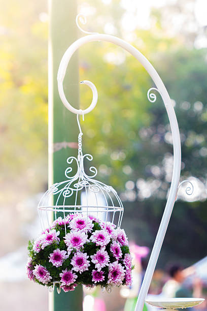 istock Bouquet made of  Chrysanthemum 538177480