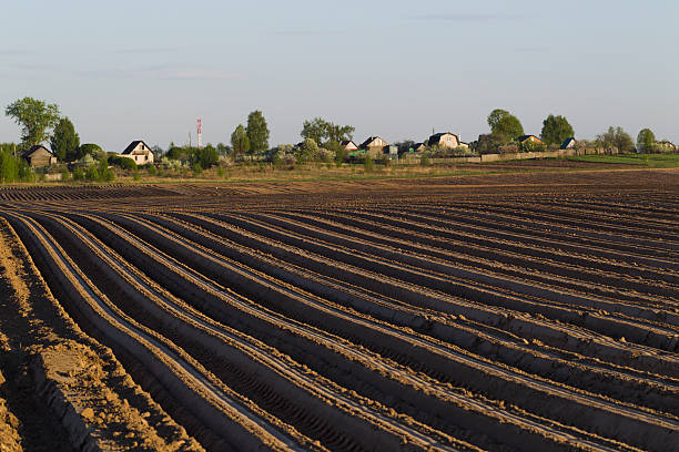 istock The tractor in the field on agricultural operations 538177516