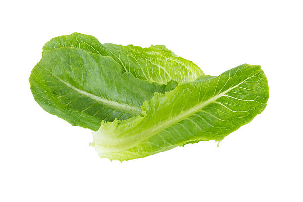 istock Cos Lettuce Isolated on White Background 538178960
