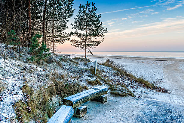 Seascape with Boulders and Tree trunks on Sand Beach after Sunset, Rugen Island, Germany