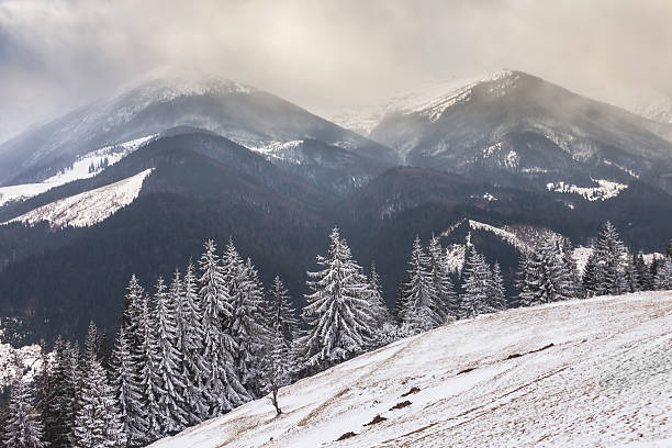 istock Beautiful winter landscape with snow covered trees 538180055