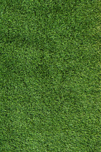 istock artificial turf football,(soccer) field 538180728