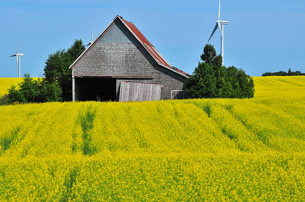 istock Wind Turbines and Traditional Farm 538181217