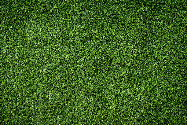 istock artificial turf football,(soccer) field 538181294