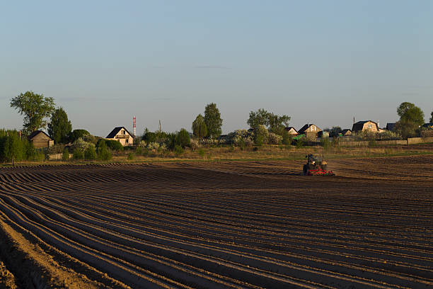 The tractor in the field on agricultural operations