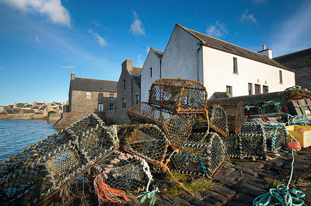 istock Basket for crabs in St Margareth Hope. Orkney. Scotland 538181921