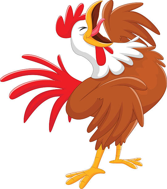 glücklich cartoon hahn hahnenschrei - chicken poultry cartoon cockerel stock-grafiken, -clipart, -cartoons und -symbole