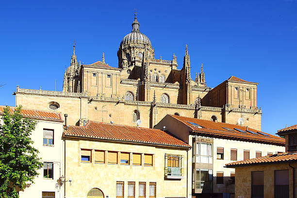 istock New Cathedral. Salamanca 538182355