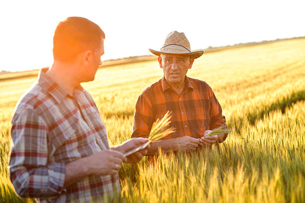 istock Two farmer standing in a field and looking at tablet 538188156