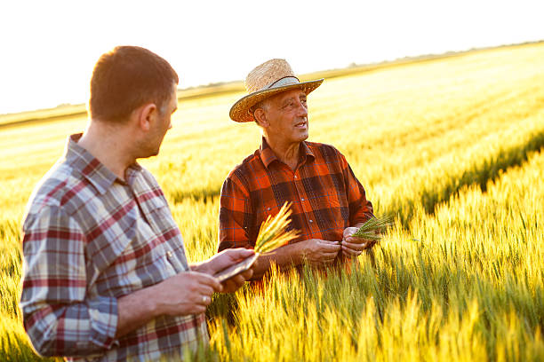 istock Two farmer standing in a field and looking at tablet 538188258