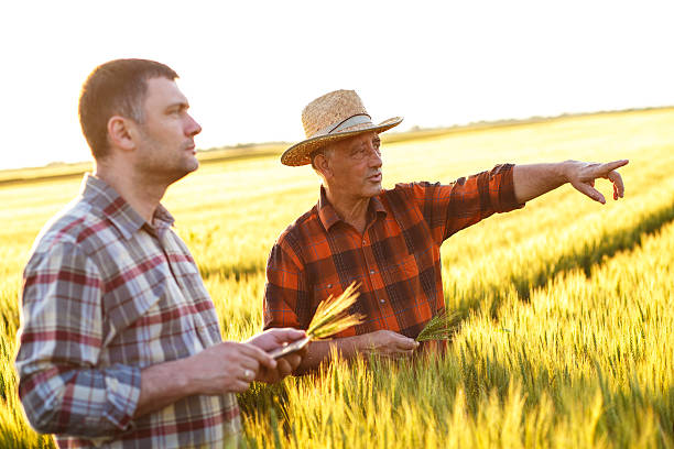 istock Two farmer standing in a field and looking at tablet 538188402