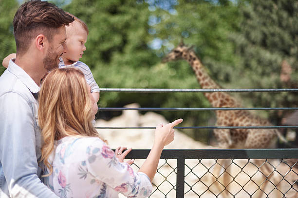 família passar o dia no jardim zoológico - mother holding child pointing imagens e fotografias de stock