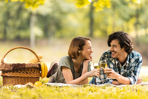 Young smiling couple looking at each other and toasting with wineglasses at picnic.