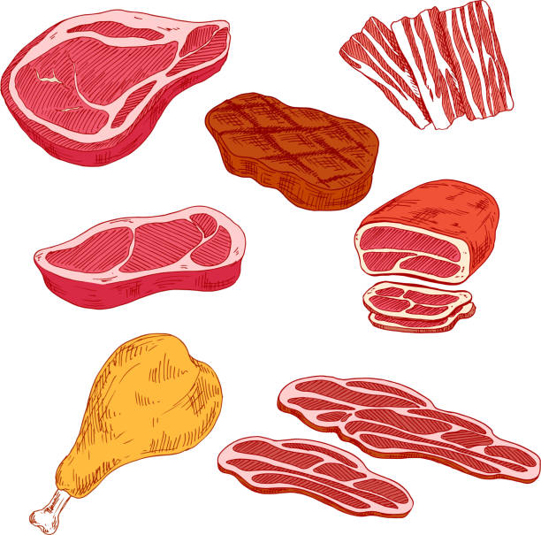 신선하게 조리된 고기 제품 바비큐 디자인식 - 스테이크 일러스트 stock illustrations