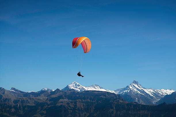 schweiz, gleitschirmflieger am niederhorn - schreckhorn stock-fotos und bilder