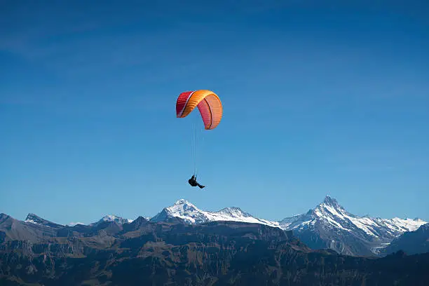 Switzerland, paraglider on the Niederhorn