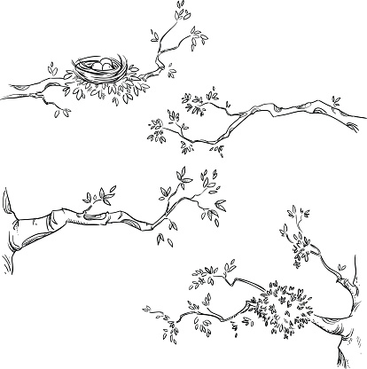 Set of hand drawn branches, vector illustration