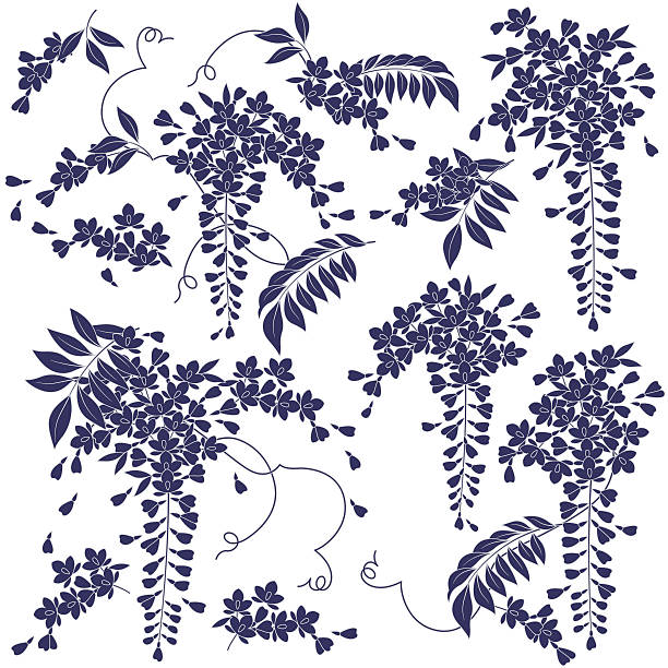 ilustraciones, imágenes clip art, dibujos animados e iconos de stock de patrón de wisteria - wisteria