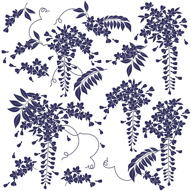 ilustrações de stock, clip art, desenhos animados e ícones de vistéria padrão - wisteria