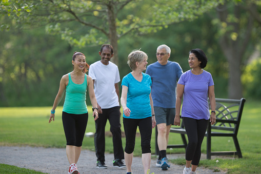 A multi-ethnic group of senior adults are walking together on a trail through the park.