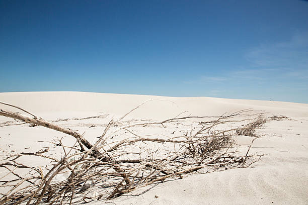 ビーチ砂丘シーン - cape town south africa sand dune beach ストックフォトと画像