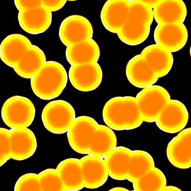 Detail Of Illness Yellow Bacterias Or Virus In Animal Blood Stock Photo -  Download Image Now - iStock
