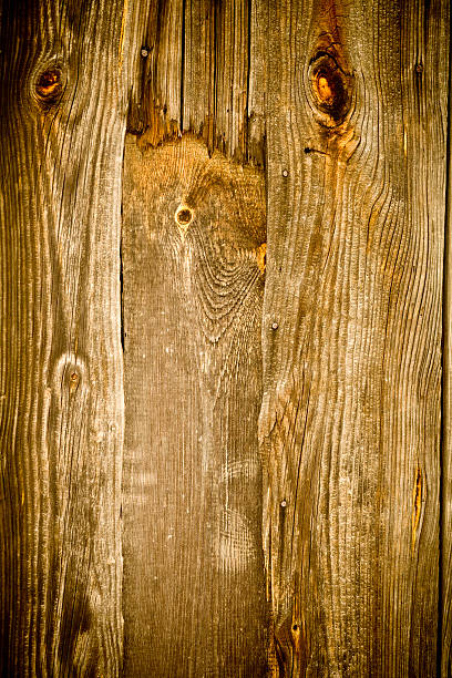 istock Brown wooden panels XXXL 538202111