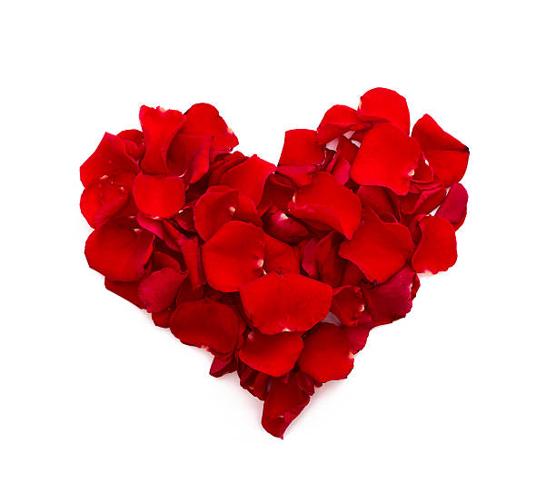 istock Rose petals in heart shape. Valentine greeting card, wedding 538203373