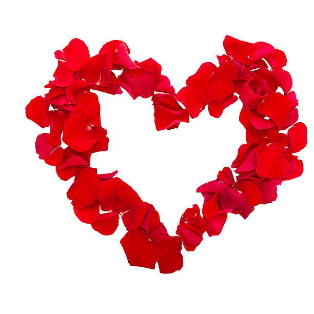 istock Rose petals in heart shape. Valentine greeting card, wedding 538203375