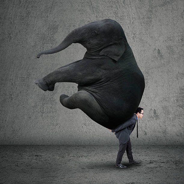 istock Male entrepreneur carrying elephant 538203431