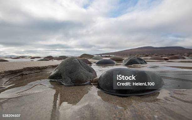 Pebbles On Wet Sandy Beach Stock Photo - Download Image Now - 2015, Beach, Coastline