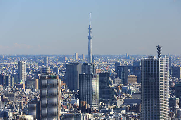 istock Tokyo Skyline in Japan 538205133