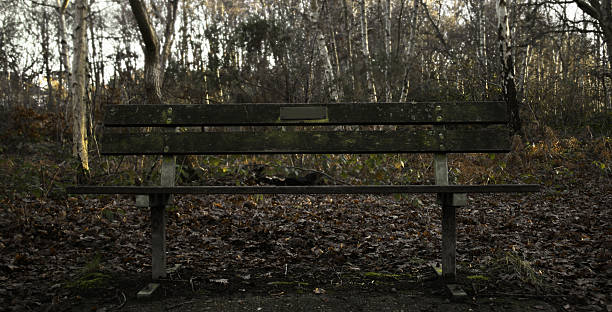 Mossy Bench A bench in Wimbledon Common, London, UK. wimbledon seats stock pictures, royalty-free photos & images