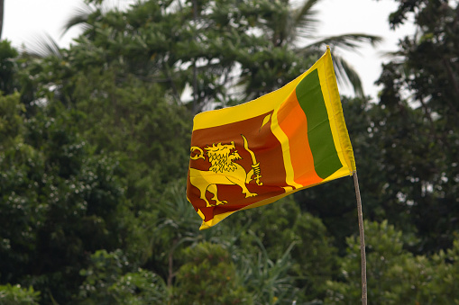 Sri Lankan flag on tropical background with palms