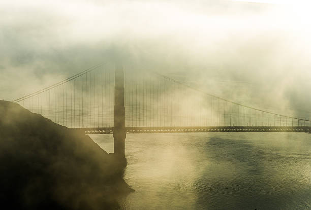 istock Marin Headland in fog 538206629