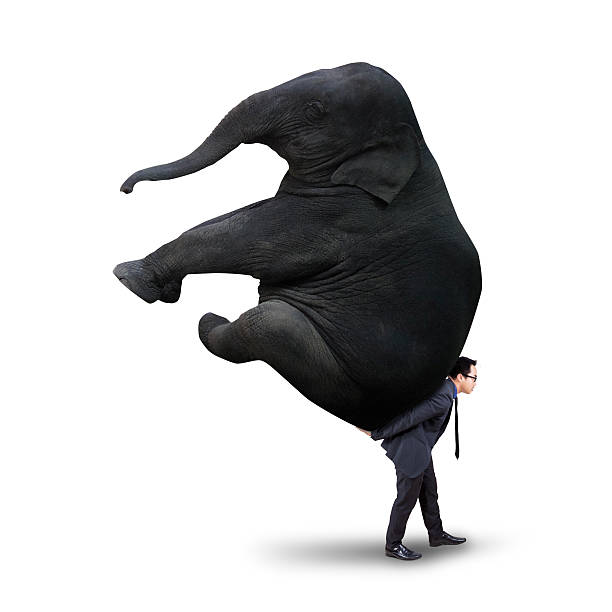istock Male manager with heavy elephant 538206825