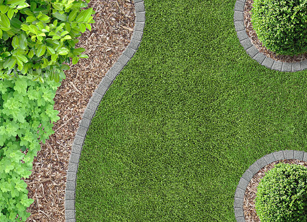 istock garden detail with bark compost 538235501