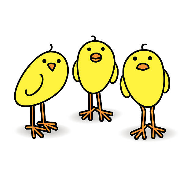 158 Three Little Birds Illustrations & Clip Art - iStock | Reggae, Bob  marley