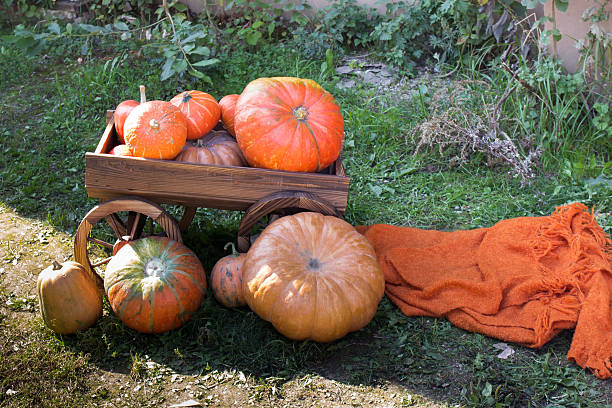 istock Pumpkin on a wooden cart 538238121