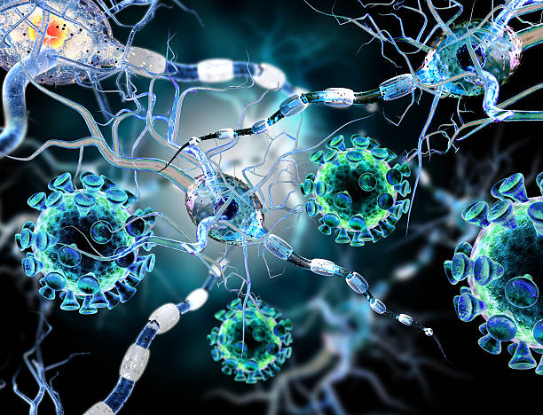 virus atacando células nerviosas, concepto de enfermedades neurológicas cirugía cerebral. - neurologic fotografías e imágenes de stock