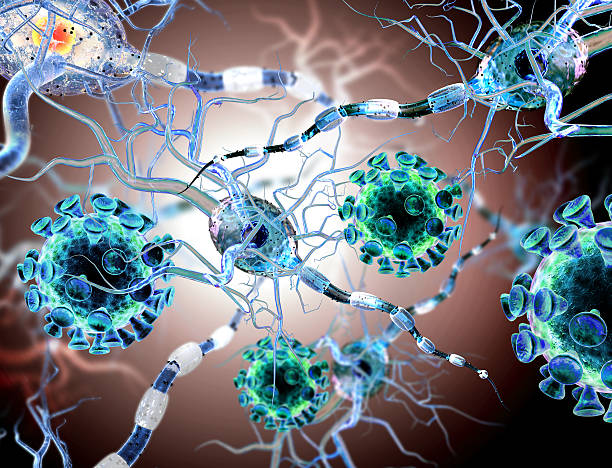 istock viruses attacking nerve cells, concept for Neurologic Diseases brain surgery. 538240191