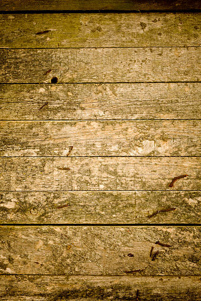 Brown wooden panels XXXL