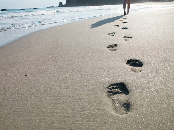 istock Footprints of the girl walking a beach 538277159