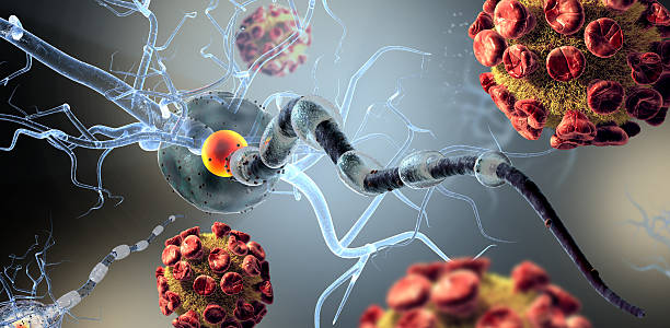 offensives axon zellen, viren konzept für neurologic krankheiten gehirnchirurgie. - cell human cell plant cell virus stock-fotos und bilder