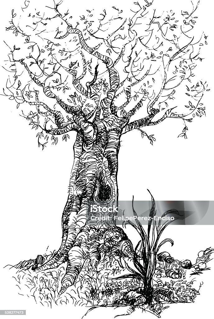 Tree in autumn / autumn tree An old tree without leaves, sad and with deep roots drawn freehand 2015 stock vector