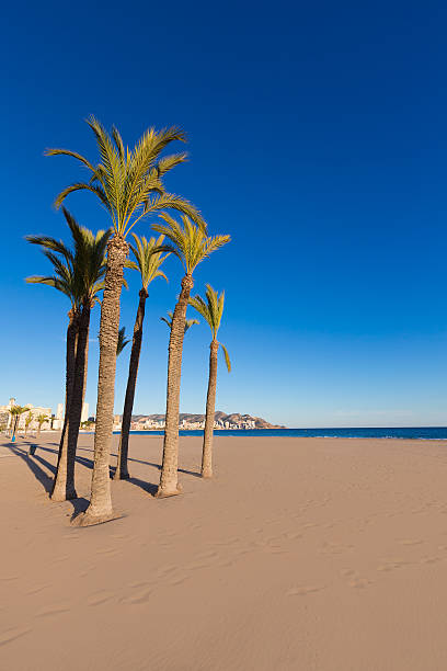 istock Benidorm Alicante playa de Poniente beach in Spain 538301609
